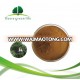 Manufacture supply 90% fatty acids saw palmetto extract